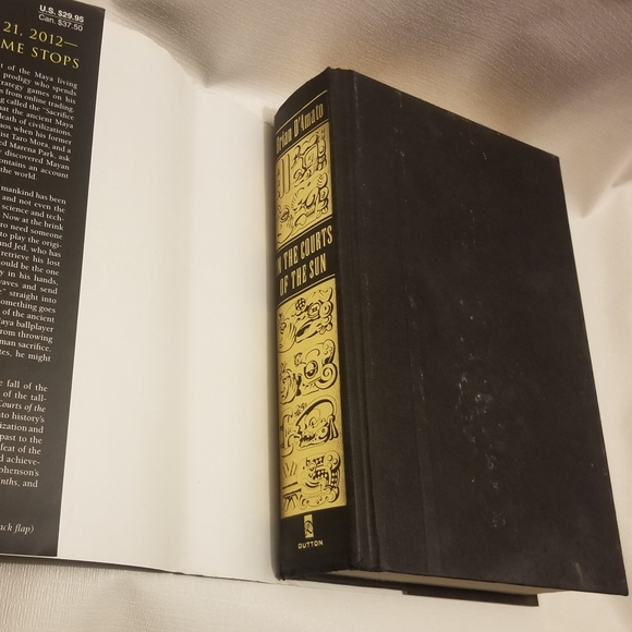 Brian D'Amato's bk In the Courts of the Sun- stained - Picture 5 of 7